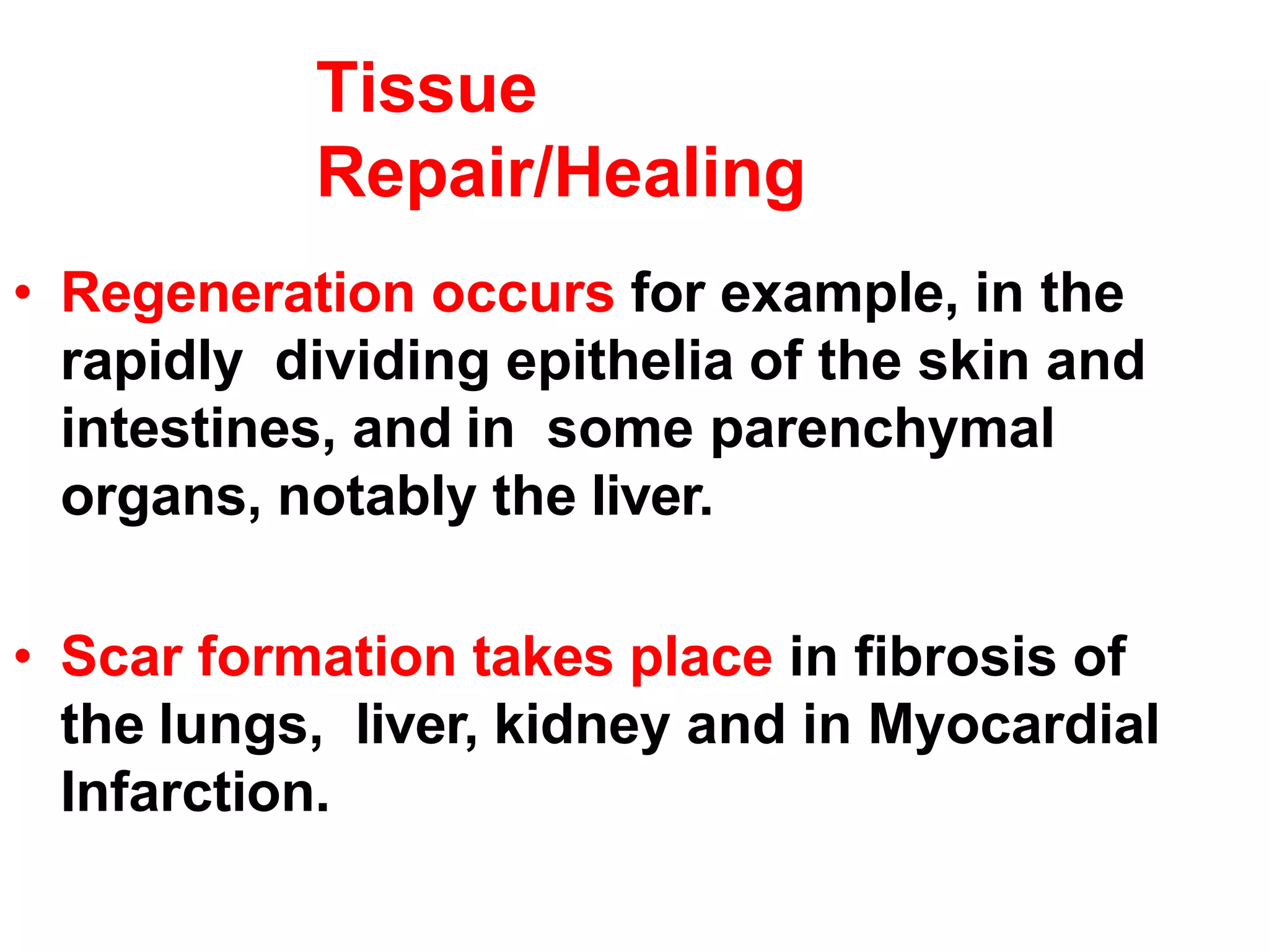 Tissue
Repair/Healing
• Regeneration occurs for example, in the
rapidly dividing epithelia of the skin and
intestines, and in some parenchymal
organs, notably the liver.
• Scar formation takes place in fibrosis of
the lungs, liver, kidney and in Myocardial
Infarction.
 