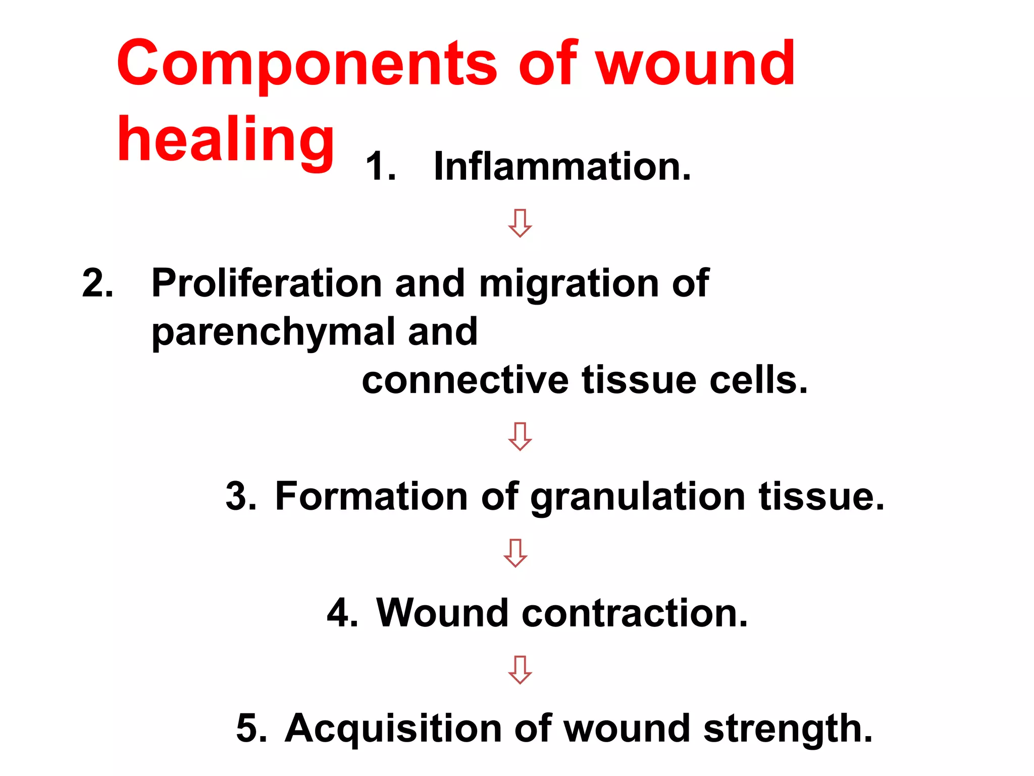 Components of wound
healing 1. Inflammation.

2. Proliferation and migration of
parenchymal and
connective tissue cells.

3. Formation of granulation tissue.

4. Wound contraction.

5. Acquisition of wound strength.
 