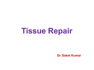 Tissue Repair
Dr. Saket Kumar
 