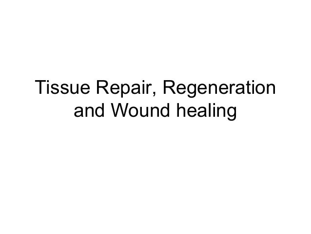 Tissue Repair Regeneration And Wound Healing 1