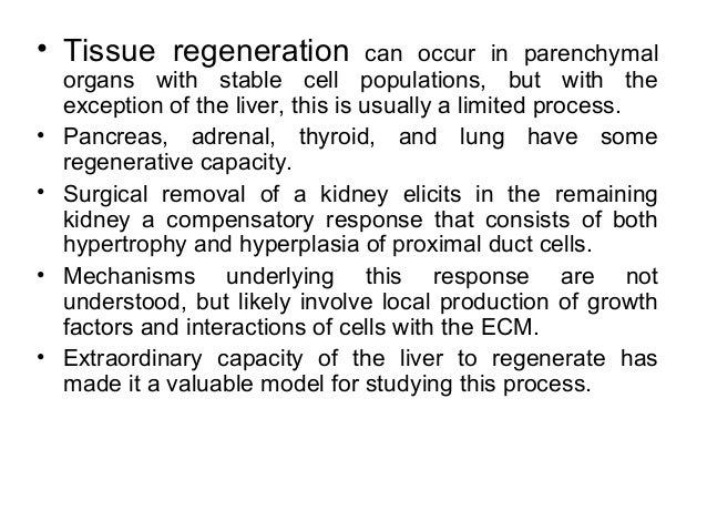 Tissue Repair Regeneration And Wound Healing 1