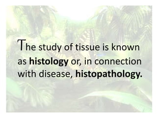 The study of tissue is known
as histology or, in connection
with disease, histopathology.
 