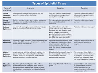 Types of Epithelial Tissue
Name of
the Tissue
Structure Location Function
Simple
Squamous
Epithelium
Squamous cells have the appearance of thin, flat
plates.The nucleus is flat and elliptical.
They form the lining of cavities such
as the mouth, oesophagus, blood
vessels, heart and lungs
Protection and transportation of
substances through a selectively
permeable surface.
Simple
Stratified
Epithelium
Cells are arranged in many layers and the top layers of
this tissue may consist of dead cells that are covered
with keratin (a protein)
The mammalian skin is an example of
dry, keratinised, stratified
epithelium.
Protection and to prevent wear
and tear
Cuboidal
Epithelium
cuboidal cells are roughly square or cuboidal in shape.
Each cell has a spherical nucleus in the centre
Cuboidal epithelium is found in
glands and in the lining of the kidney
tubules as well as in the ducts of the
glands. They also constitute the
germinal epithelium which produces
the egg cells in the female ovary and
the sperm cells in the male testes.
Protection and mechanical support
Columnar
Epithelium
Cells occur in one or more layers. The cells are elongated and
column-shaped. The nuclei are elongated and are usually
located near the base of the cells.
Columnar epithelium forms the lining
of the stomach and intestines. Some
columnar cells are specialised for
sensory reception such as in the
nose, ears and the taste buds of the
tongue.
Protection, absorption of food (in
small intestine), secretion of
enzymes
Ciliated
Columnar
Epithelium
simple columnar epithelial cells, but in addition, they
posses fine hair-like outgrowths, cilia on their free
surfaces. These cilia are capable of rapid, rhythmic,
wavelike beatings in a certain direction.
Ciliated epithelium is usually found in
the air passages like the nose. It is
also found in the uterus and
Fallopian tubes of females.
This movement of the cilia in a
certain direction causes the mucus,
to move (flow or stream) in that
direction. The movement of the
cilia propel the ovum to the uterus.
Glandular
Epithelium
Columnar epithelium with goblet cells is called
glandular epithelium. Some parts of the glandular
epithelium consist of such a large number of goblet
cells that there are only a few normal epithelial cells
left.
Inner lining of stomach and salivary
glands
specialised gland cells are capable
of synthesising and secreting
certain substances such as
enzymes, hormones, milk, mucus,
sweat, wax and saliva.
 