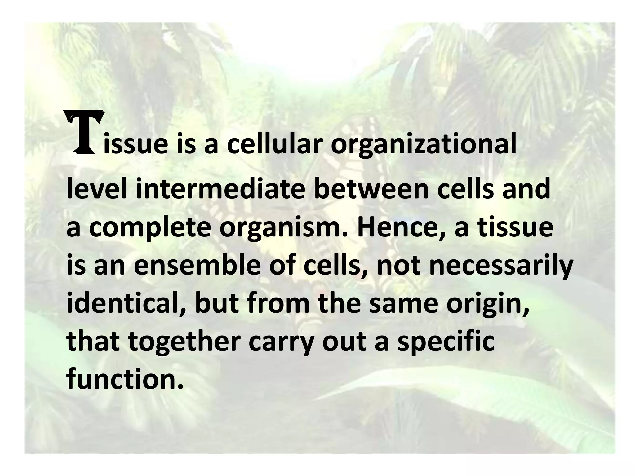 Tissue is a cellular organizational level intermediate between cells and a complete organism. Hence, a tissue is an ensemble of cells, not necessarily identical, but from the same origin, that together carry out a specific function. 