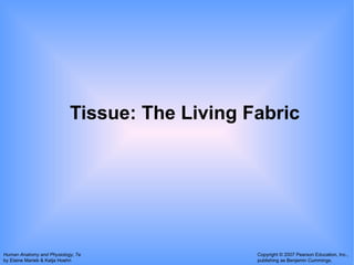 Tissue: The Living Fabric 