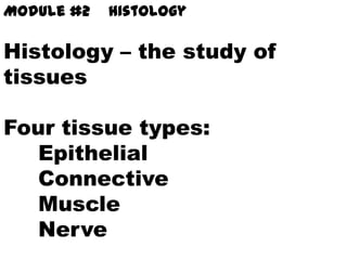 Module #2   Histology

Histology – the study of
tissues

Four tissue types:
   Epithelial
   Connective
   Muscle
   Nerve
 