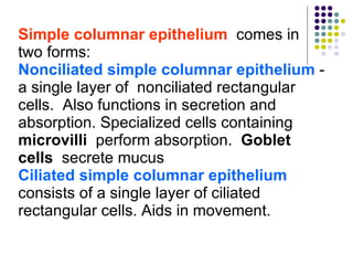 Simple columnar epithelium   comes in two forms: Nonciliated simple columnar epithelium   - a single layer of  nonciliated rectangular cells.  Also functions in secretion and absorption. Specialized cells containing  microvilli   perform absorption.  Goblet cells   secrete mucus Ciliated simple columnar epithelium  consists of a single layer of ciliated rectangular cells. Aids in movement. 