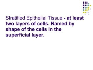 Stratified Epithelial Tissue  - at least two layers of cells. Named by shape of the cells in the superficial layer.  