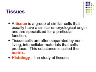 Tissues A  tissue  is a group of similar cells that usually have a similar embryological origin and are specialized for a particular function. Tissue cells are often separated by non-living, intercellular materials that cells produce.  This substance is called the  matrix.   Histology  –  the study of tissues 