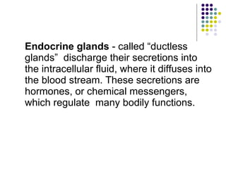 Endocrine glands  - called “ductless glands”  discharge their secretions into the intracellular fluid, where it diffuses into the blood stream. These secretions are  hormones, or chemical messengers, which regulate  many bodily functions. 