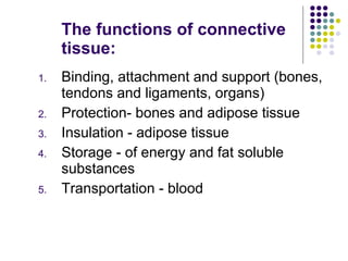 The functions of connective tissue: Binding, attachment and support (bones, tendons and ligaments, organs) Protection- bones and adipose tissue Insulation - adipose tissue Storage - of energy and fat soluble substances Transportation - blood 