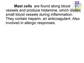Mast cells   are found along blood vessels and produce histamine, which dilates small blood vessels during inflammation. They contain heparin, an anticoagulant. Also involved in allergic responses. 