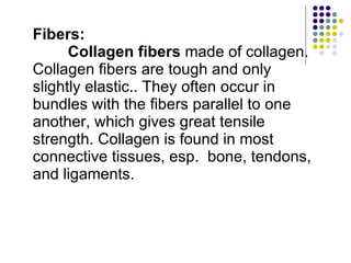 Fibers: Collagen fibers  made of collagen. Collagen fibers are tough and only slightly elastic.. They often occur in bundles with the fibers parallel to one another, which gives great tensile  strength. Collagen is found in most connective tissues, esp.  bone, tendons, and ligaments. 
