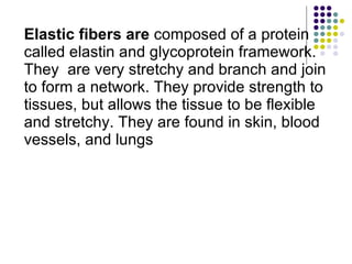 Elastic fibers are  composed of a protein called elastin and glycoprotein framework. They  are very stretchy and branch and join to form a network. They provide strength to tissues, but allows the tissue to be flexible and stretchy. They are found in skin, blood vessels, and lungs 