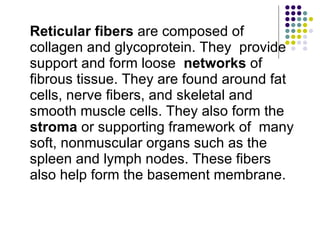 Reticular fibers  are composed of collagen and glycoprotein. They  provide support and form loose  networks  of fibrous tissue. They are found around fat cells, nerve fibers, and skeletal and smooth muscle cells. They also form the  stroma  or supporting framework of  many soft, nonmuscular organs such as the spleen and lymph nodes. These fibers also help form the basement membrane. 