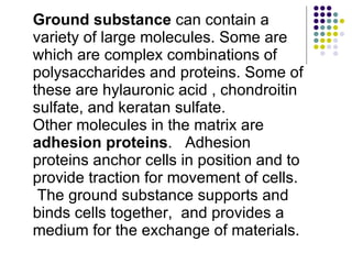 Ground substance  can contain a variety of large molecules. Some are which are   complex combinations of polysaccharides and proteins. Some of these are hylauronic acid , chondroitin sulfate, and keratan sulfate. Other molecules in the matrix are  adhesion proteins .  Adhesion proteins anchor cells in position and to provide traction for movement of cells.  The ground substance supports and binds cells together,  and provides a medium for the exchange of materials. 
