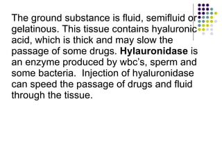 The ground substance is fluid, semifluid or gelatinous. This tissue contains hyaluronic acid, which is thick and may slow the passage of some drugs.  Hylauronidase  is an enzyme produced by wbc’s, sperm and some bacteria.  Injection of hyaluronidase can speed the passage of drugs and fluid through the tissue. 