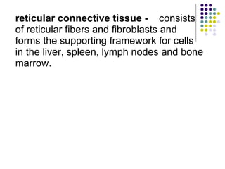 reticular connective tissue -   consists of reticular fibers and fibroblasts and forms the supporting framework for cells in the liver, spleen, lymph nodes and bone marrow. 