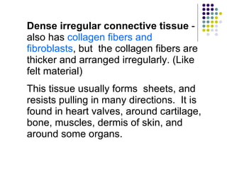 Dense irregular connective tissue  - also has  collagen fibers and fibroblasts , but  the collagen fibers are thicker and arranged irregularly. (Like felt material)  This tissue usually forms  sheets, and resists pulling in many directions.  It is found in heart valves, around cartilage, bone, muscles, dermis of skin, and around some organs. 