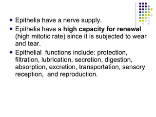 Epithelia have a nerve supply. Epithelia have a  high capacity for renewal  (high mitotic rate) since it is subjected to wear and tear. Epithelial  functions include: protection, filtration, lubrication, secretion, digestion, absorption, excretion, transportation, sensory reception,  and reproduction. 