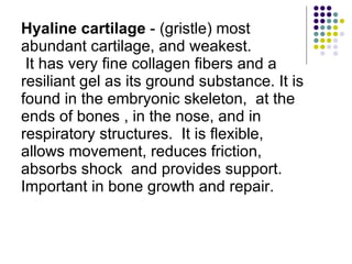 Hyaline cartilage  - (gristle) most abundant cartilage, and weakest. It has very fine collagen fibers and a resiliant gel as its ground substance. It is found in the embryonic skeleton,  at the ends of bones , in the nose, and in respiratory structures.  It is flexible, allows movement, reduces friction, absorbs shock  and provides support. Important in bone growth and repair. 