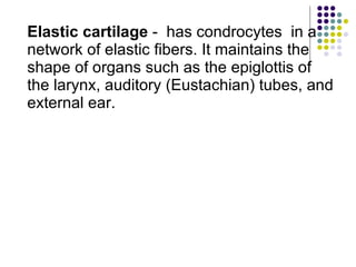 Elastic cartilage  -  has condrocytes  in a network of elastic fibers. It maintains the shape of organs such as the epiglottis of the larynx, auditory (Eustachian) tubes, and external ear. 
