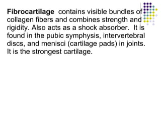 Fibrocartilage   contains visible bundles of collagen fibers and combines strength and rigidity. Also acts as a shock absorber.  It is found in the pubic symphysis, intervertebral discs, and menisci (cartilage pads) in joints.  It is the strongest cartilage.  