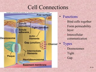 Histology: Tissues | PPT