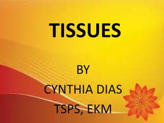 TISSUES
BY
CYNTHIA DIAS
TSPS, EKM
 