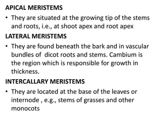 APICAL MERISTEMS
• They are situated at the growing tip of the stems
and roots, i.e., at shoot apex and root apex
LATERAL MERISTEMS
• They are found beneath the bark and in vascular
bundles of dicot roots and stems. Cambium is
the region which is responsible for growth in
thickness.
INTERCALLARY MERISTEMS
• They are located at the base of the leaves or
internode , e.g., stems of grasses and other
monocots
 