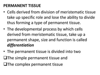 PERMANENT TISSUE
• Cells derived from division of meristematic tissue
take up specific role and lose the ability to divide
thus forming a type of permanent tissue.
• The developmental process by which cells
derived from meristematic tissue, take up a
permanent shape, size and function is called
differentiation
• The permanent tissue is divided into two
The simple permanent tissue and
The complex permanent tissue
 