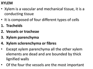 XYLEM
• Xylem is a vascular and mechanical tissue, it is a
conducting tissue
• It is composed of four different types of cells
1. Tracheids
2. Vessels or tracheae
3. Xylem parenchyma
4. Xylem sclerenchyma or fibres
• Except xylem parenchyma all the other xylem
elements are dead and are bounded by thick
lignified walls
• Of the four the vessels are the most important
 