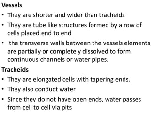 Vessels
• They are shorter and wider than tracheids
• They are tube like structures formed by a row of
cells placed end to end
• the transverse walls between the vessels elements
are partially or completely dissolved to form
continuous channels or water pipes.
Tracheids
• They are elongated cells with tapering ends.
• They also conduct water
• Since they do not have open ends, water passes
from cell to cell via pits
 