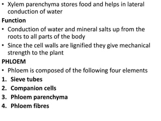 • Xylem parenchyma stores food and helps in lateral
conduction of water
Function
• Conduction of water and mineral salts up from the
roots to all parts of the body
• Since the cell walls are lignified they give mechanical
strength to the plant
PHLOEM
• Phloem is composed of the following four elements
1. Sieve tubes
2. Companion cells
3. Phloem parenchyma
4. Phloem fibres
 