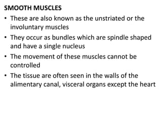 SMOOTH MUSCLES
• These are also known as the unstriated or the
involuntary muscles
• They occur as bundles which are spindle shaped
and have a single nucleus
• The movement of these muscles cannot be
controlled
• The tissue are often seen in the walls of the
alimentary canal, visceral organs except the heart
 