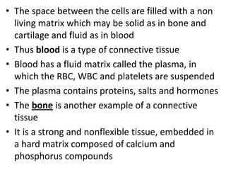 • The space between the cells are filled with a non
living matrix which may be solid as in bone and
cartilage and fluid as in blood
• Thus blood is a type of connective tissue
• Blood has a fluid matrix called the plasma, in
which the RBC, WBC and platelets are suspended
• The plasma contains proteins, salts and hormones
• The bone is another example of a connective
tissue
• It is a strong and nonflexible tissue, embedded in
a hard matrix composed of calcium and
phosphorus compounds
 