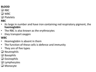 BLOOD
 RBC
 WBC
 Platelets
RBC
• Its large in number and have iron containing red respiratory pigment, the
haemoglobin
• The RBC is also known as the erythrocytes
• they transport oxygen
WBC
• Heamoglobin is absent in them
• The function of these cells is defence and immunity
• They are of five types
 Neutrophils
 Basophils
 Eosinophils
 Lymphocytes
 Monocyte
 