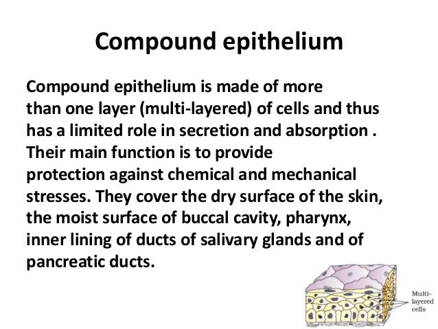 Image Result For Kannur