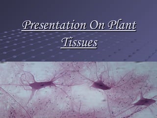Presentation On PlantPresentation On Plant
TissuesTissues
 