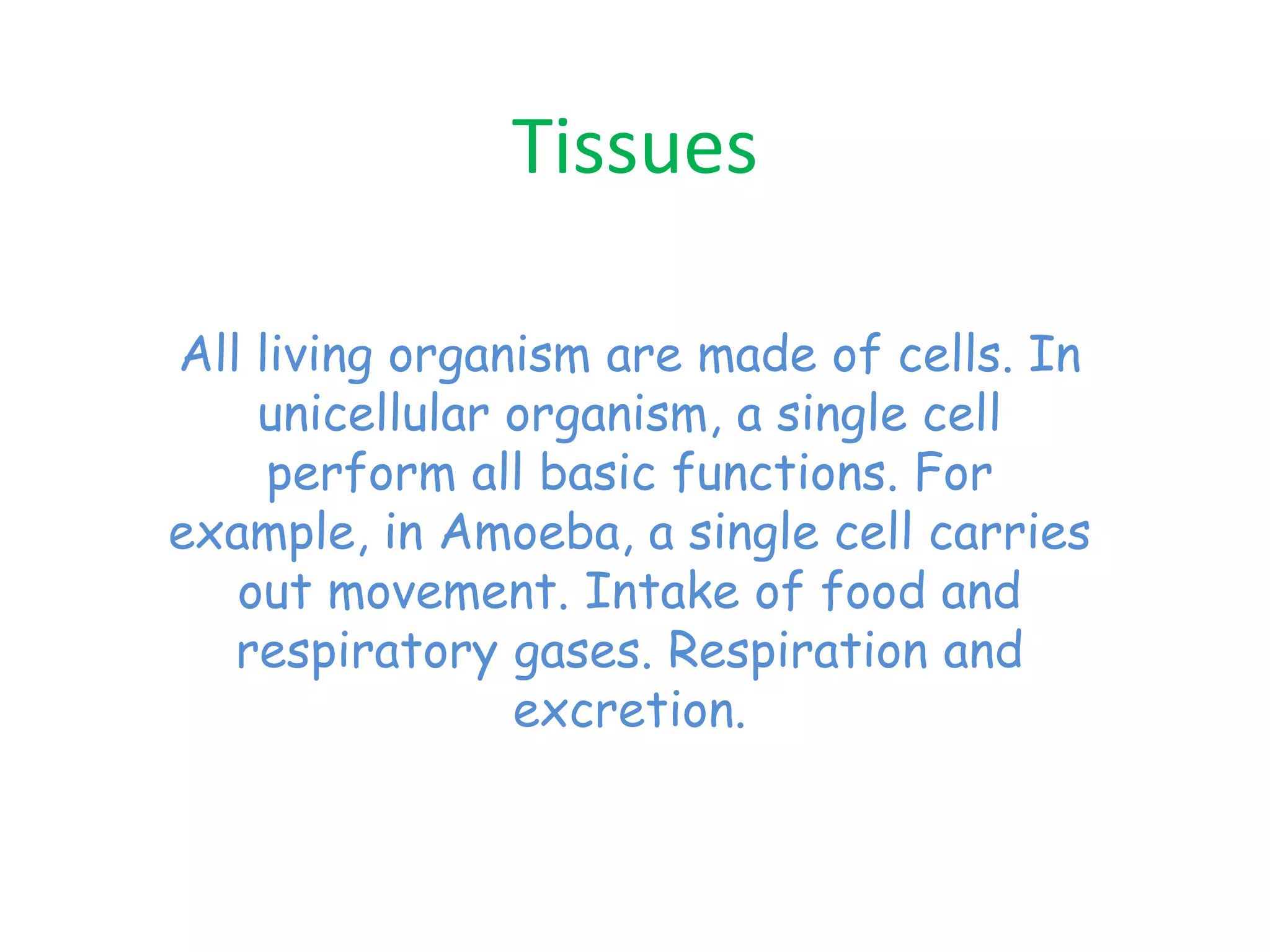 Plants and Animals Tissues | PPTX