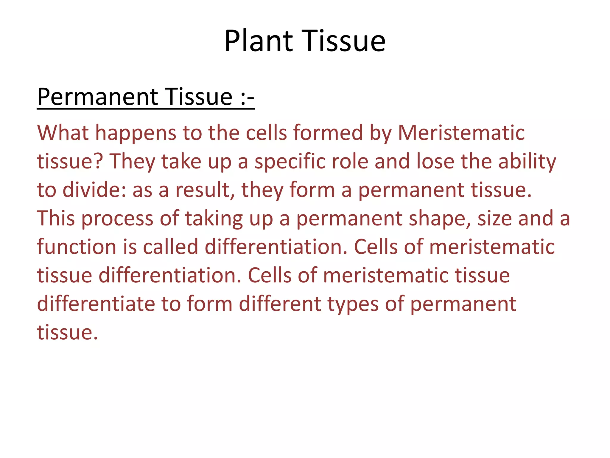 Plants and Animals Tissues | PPTX
