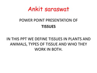 Ankit saraswat
POWER POINT PRESENTATION OF
TISSUES
IN THIS PPT WE DEFINE TISSUES IN PLANTS AND
ANIMALS, TYPES OF TISSUE AND WHO THEY
WORK IN BOTH.
 