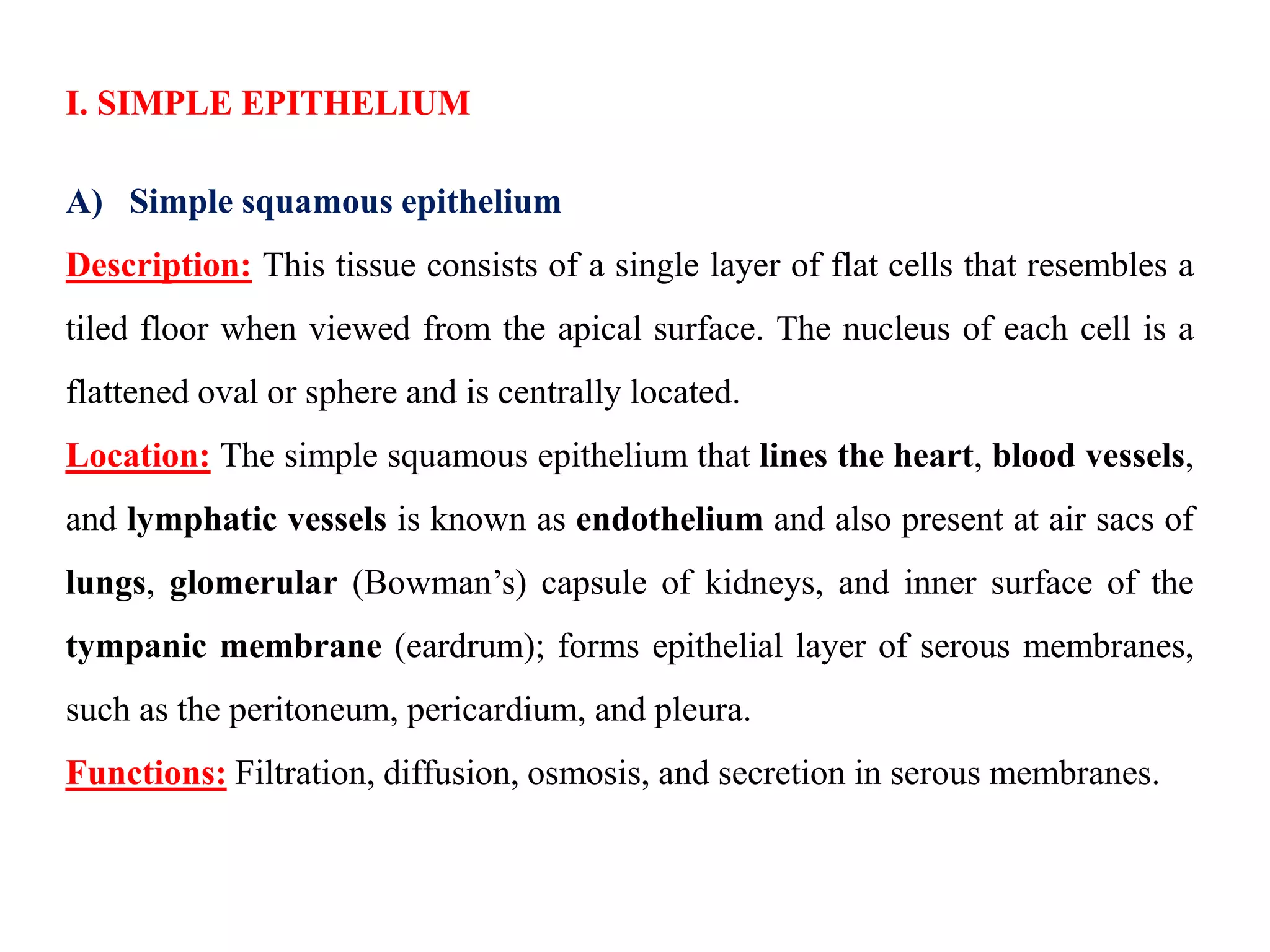 I. SIMPLE EPITHELIUM
A) Simple squamous epithelium
Description: This tissue consists of a single layer of flat cells that resembles a
tiled floor when viewed from the apical surface. The nucleus of each cell is a
flattened oval or sphere and is centrally located.
Location: The simple squamous epithelium that lines the heart, blood vessels,
and lymphatic vessels is known as endothelium and also present at air sacs of
lungs, glomerular (Bowman’s) capsule of kidneys, and inner surface of the
tympanic membrane (eardrum); forms epithelial layer of serous membranes,
such as the peritoneum, pericardium, and pleura.
Functions: Filtration, diffusion, osmosis, and secretion in serous membranes.
 