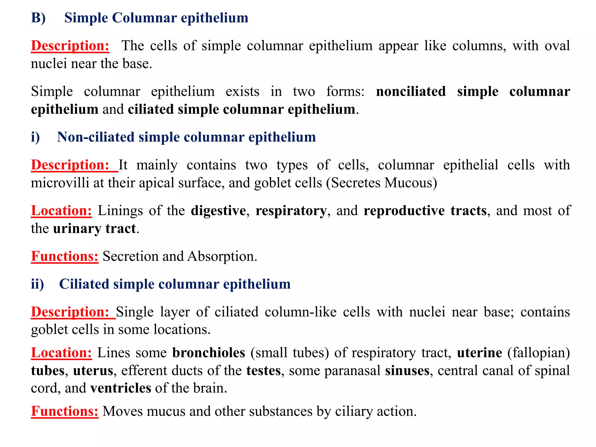 B) Simple Columnar epithelium
Description: The cells of simple columnar epithelium appear like columns, with oval
nuclei near the base.
Simple columnar epithelium exists in two forms: nonciliated simple columnar
epithelium and ciliated simple columnar epithelium.
i) Non-ciliated simple columnar epithelium
Description: It mainly contains two types of cells, columnar epithelial cells with
microvilli at their apical surface, and goblet cells (Secretes Mucous)
Location: Linings of the digestive, respiratory, and reproductive tracts, and most of
the urinary tract.
Functions: Secretion and Absorption.
ii) Ciliated simple columnar epithelium
Description: Single layer of ciliated column-like cells with nuclei near base; contains
goblet cells in some locations.
Location: Lines some bronchioles (small tubes) of respiratory tract, uterine (fallopian)
tubes, uterus, efferent ducts of the testes, some paranasal sinuses, central canal of spinal
cord, and ventricles of the brain.
Functions: Moves mucus and other substances by ciliary action.
 