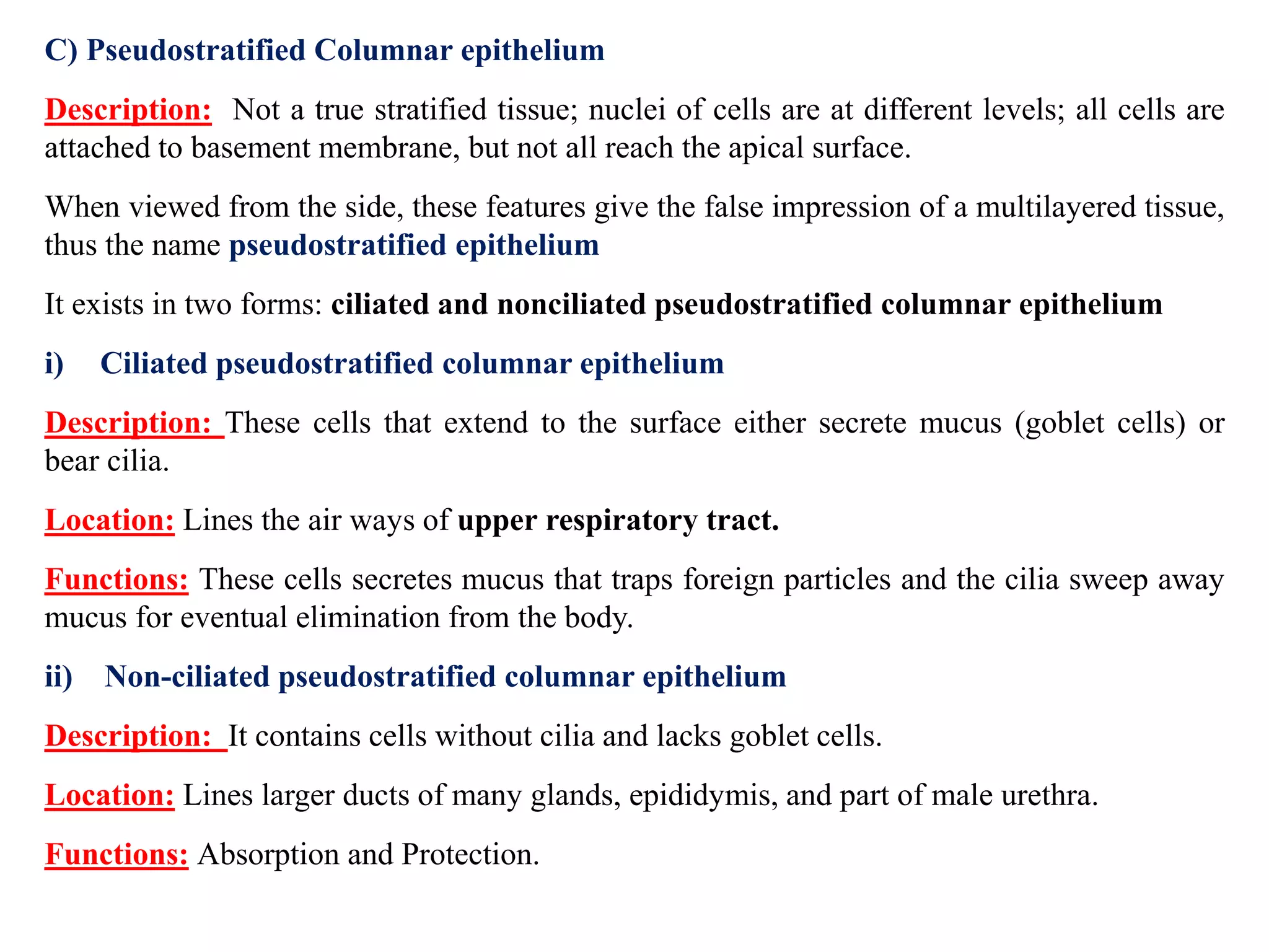 C) Pseudostratified Columnar epithelium
Description: Not a true stratified tissue; nuclei of cells are at different levels; all cells are
attached to basement membrane, but not all reach the apical surface.
When viewed from the side, these features give the false impression of a multilayered tissue,
thus the name pseudostratified epithelium
It exists in two forms: ciliated and nonciliated pseudostratified columnar epithelium
i) Ciliated pseudostratified columnar epithelium
Description: These cells that extend to the surface either secrete mucus (goblet cells) or
bear cilia.
Location: Lines the air ways of upper respiratory tract.
Functions: These cells secretes mucus that traps foreign particles and the cilia sweep away
mucus for eventual elimination from the body.
ii) Non-ciliated pseudostratified columnar epithelium
Description: It contains cells without cilia and lacks goblet cells.
Location: Lines larger ducts of many glands, epididymis, and part of male urethra.
Functions: Absorption and Protection.
 