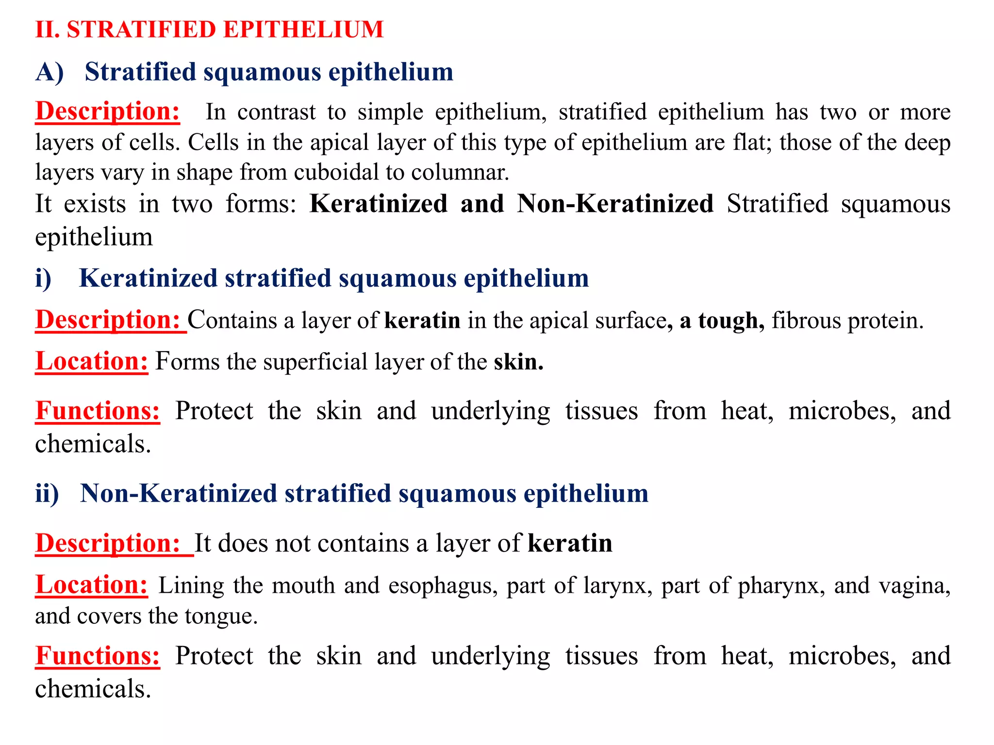 II. STRATIFIED EPITHELIUM
A) Stratified squamous epithelium
Description: In contrast to simple epithelium, stratified epithelium has two or more
layers of cells. Cells in the apical layer of this type of epithelium are flat; those of the deep
layers vary in shape from cuboidal to columnar.
It exists in two forms: Keratinized and Non-Keratinized Stratified squamous
epithelium
i) Keratinized stratified squamous epithelium
Description: Contains a layer of keratin in the apical surface, a tough, fibrous protein.
Location: Forms the superficial layer of the skin.
Functions: Protect the skin and underlying tissues from heat, microbes, and
chemicals.
ii) Non-Keratinized stratified squamous epithelium
Description: It does not contains a layer of keratin
Location: Lining the mouth and esophagus, part of larynx, part of pharynx, and vagina,
and covers the tongue.
Functions: Protect the skin and underlying tissues from heat, microbes, and
chemicals.
 
