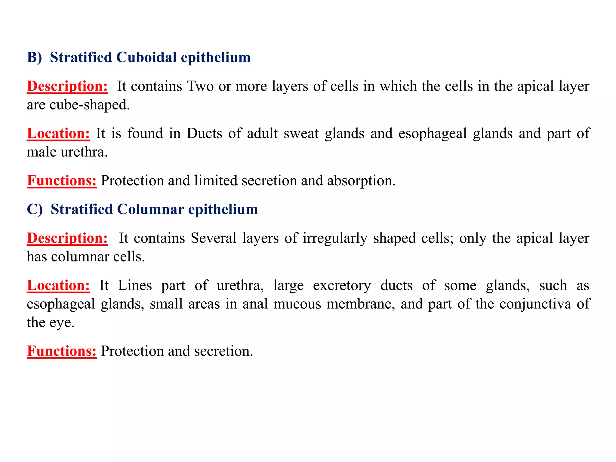 B) Stratified Cuboidal epithelium
Description: It contains Two or more layers of cells in which the cells in the apical layer
are cube-shaped.
Location: It is found in Ducts of adult sweat glands and esophageal glands and part of
male urethra.
Functions: Protection and limited secretion and absorption.
C) Stratified Columnar epithelium
Description: It contains Several layers of irregularly shaped cells; only the apical layer
has columnar cells.
Location: It Lines part of urethra, large excretory ducts of some glands, such as
esophageal glands, small areas in anal mucous membrane, and part of the conjunctiva of
the eye.
Functions: Protection and secretion.
 
