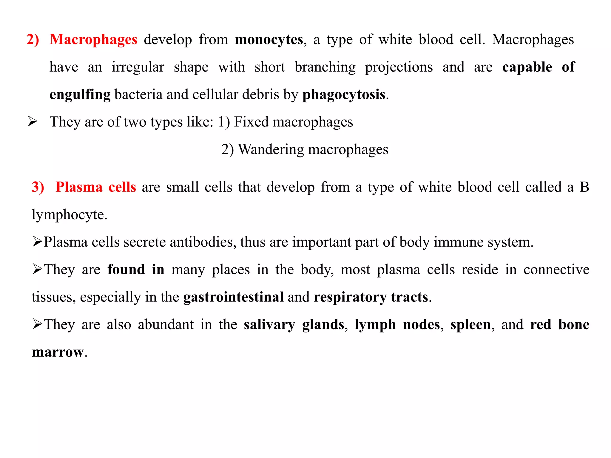 2) Macrophages develop from monocytes, a type of white blood cell. Macrophages
have an irregular shape with short branching projections and are capable of
engulfing bacteria and cellular debris by phagocytosis.
 They are of two types like: 1) Fixed macrophages
2) Wandering macrophages
3) Plasma cells are small cells that develop from a type of white blood cell called a B
lymphocyte.
Plasma cells secrete antibodies, thus are important part of body immune system.
They are found in many places in the body, most plasma cells reside in connective
tissues, especially in the gastrointestinal and respiratory tracts.
They are also abundant in the salivary glands, lymph nodes, spleen, and red bone
marrow.
 