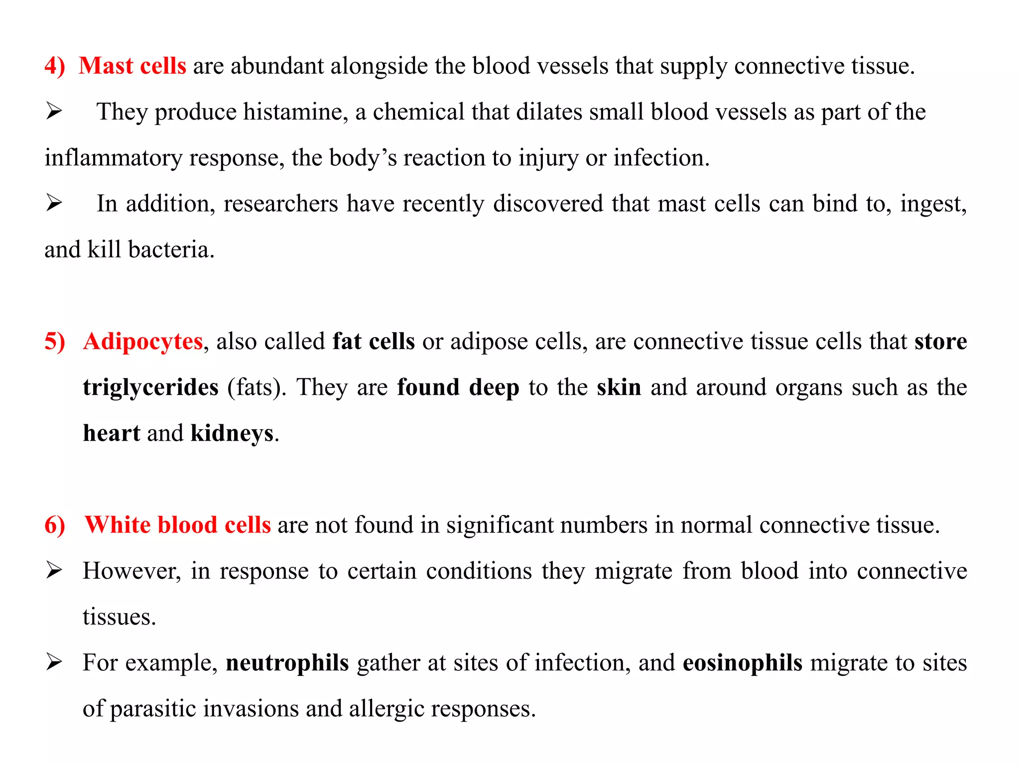 4) Mast cells are abundant alongside the blood vessels that supply connective tissue.
 They produce histamine, a chemical that dilates small blood vessels as part of the
inflammatory response, the body’s reaction to injury or infection.
 In addition, researchers have recently discovered that mast cells can bind to, ingest,
and kill bacteria.
5) Adipocytes, also called fat cells or adipose cells, are connective tissue cells that store
triglycerides (fats). They are found deep to the skin and around organs such as the
heart and kidneys.
6) White blood cells are not found in significant numbers in normal connective tissue.
 However, in response to certain conditions they migrate from blood into connective
tissues.
 For example, neutrophils gather at sites of infection, and eosinophils migrate to sites
of parasitic invasions and allergic responses.
 