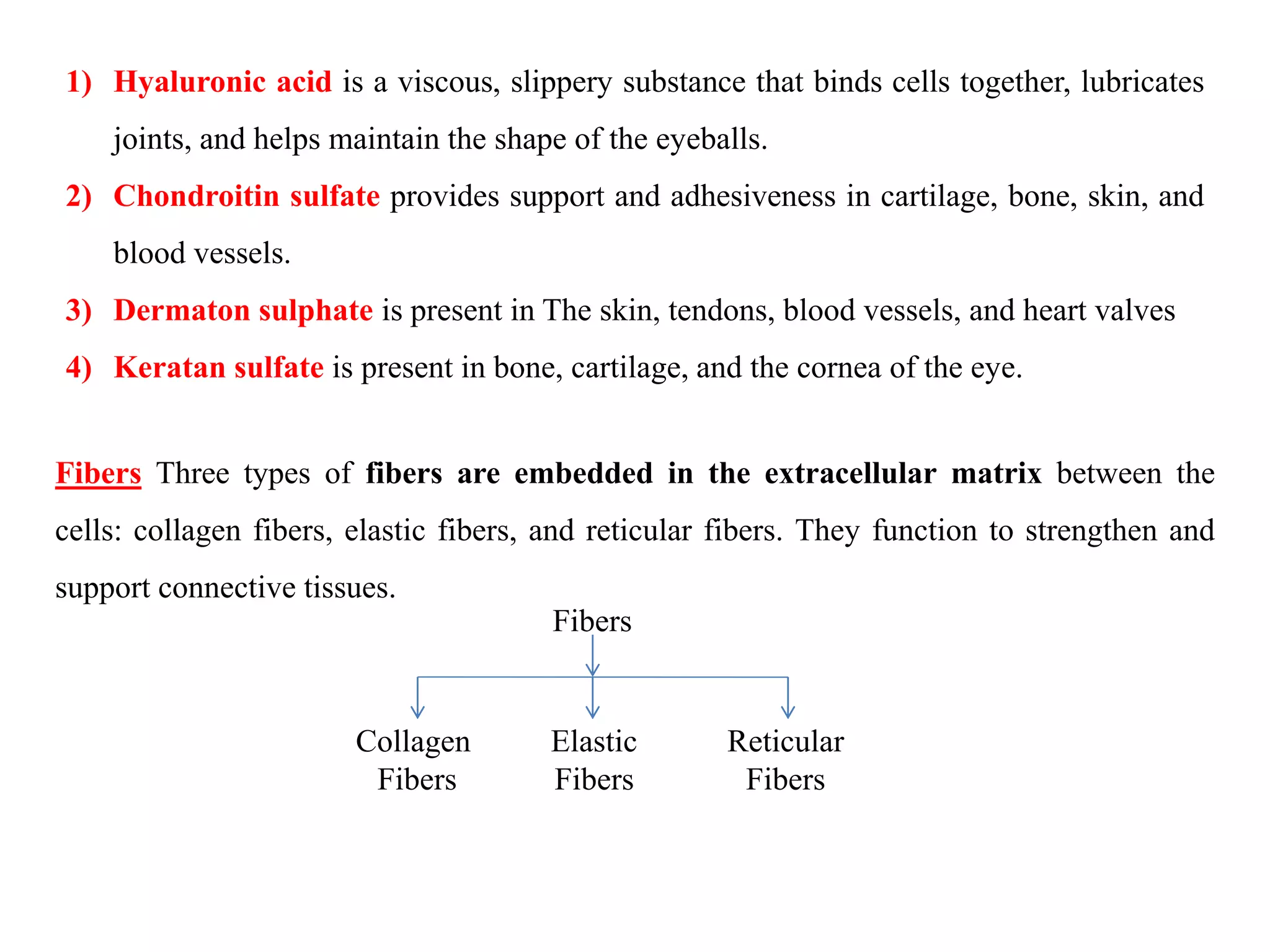 1) Hyaluronic acid is a viscous, slippery substance that binds cells together, lubricates
joints, and helps maintain the shape of the eyeballs.
2) Chondroitin sulfate provides support and adhesiveness in cartilage, bone, skin, and
blood vessels.
3) Dermaton sulphate is present in The skin, tendons, blood vessels, and heart valves
4) Keratan sulfate is present in bone, cartilage, and the cornea of the eye.
Fibers
Collagen
Fibers
Elastic
Fibers
Reticular
Fibers
Fibers Three types of fibers are embedded in the extracellular matrix between the
cells: collagen fibers, elastic fibers, and reticular fibers. They function to strengthen and
support connective tissues.
 